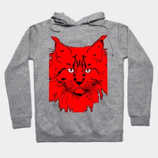 cat Maine Coon in red background Hoodie